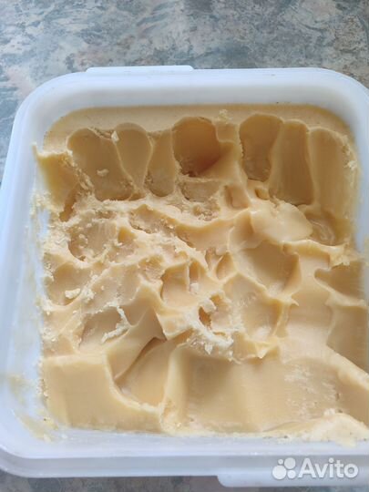 Мед донниковый