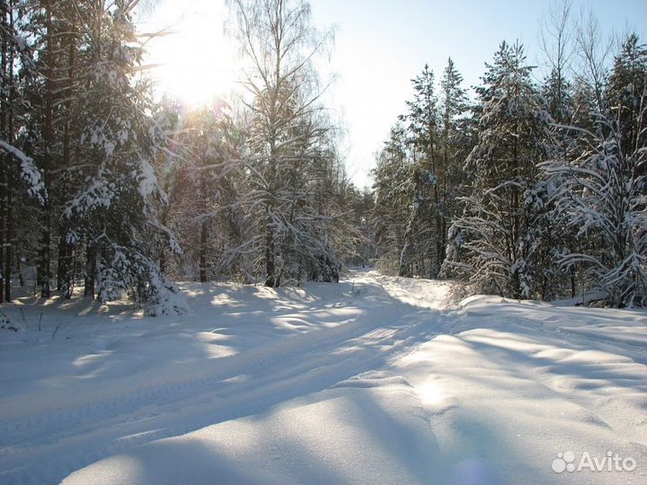 Походы по Подмосковью