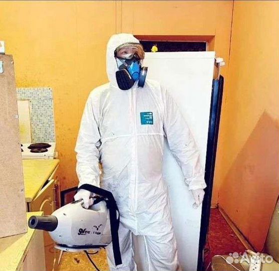 Дезинсекция от тараканов, клопов и др. вредителей