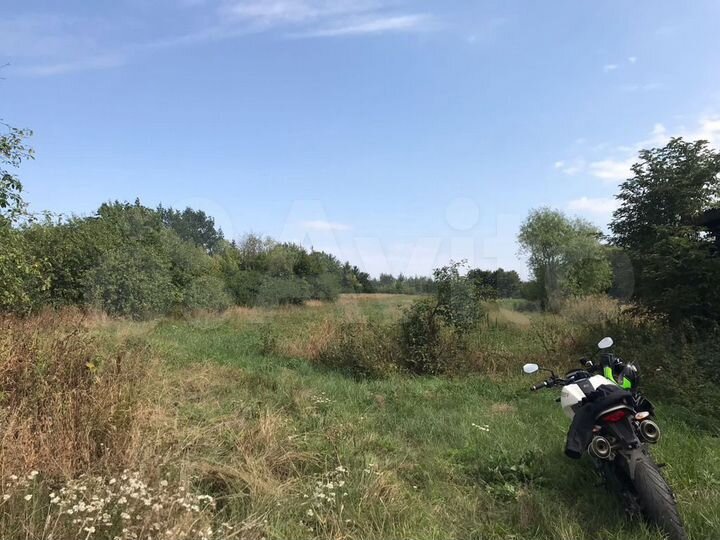 Участок 38,3 сот. (СНТ, ДНП)
