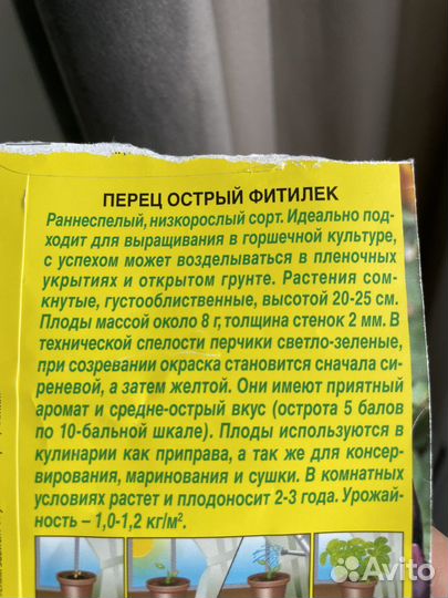 Комнатные растения