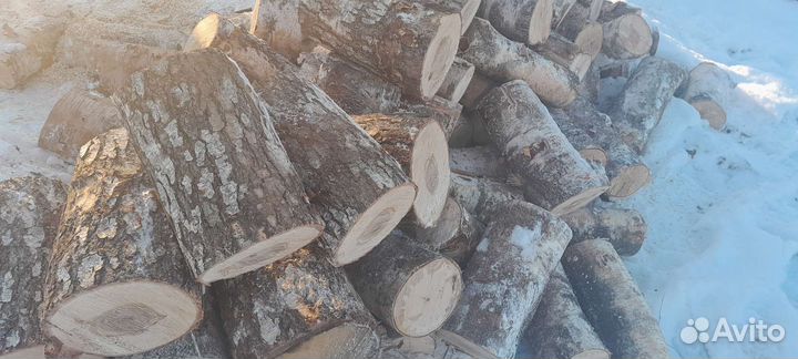 Дрова летней заготовки