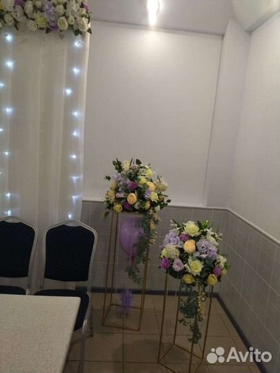 Призидиум,тумбы,цветы