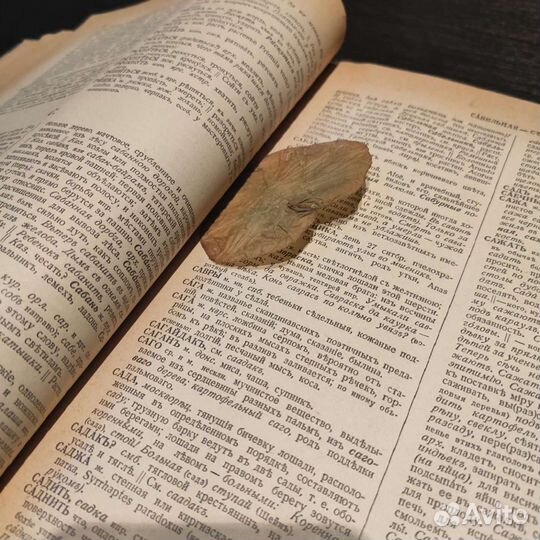 Словарь Даля