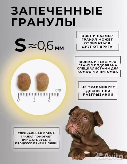 Сухой корм для собак