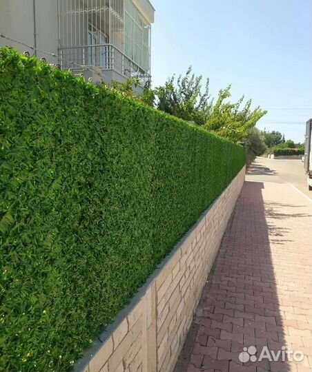 Зеленый травяной забор