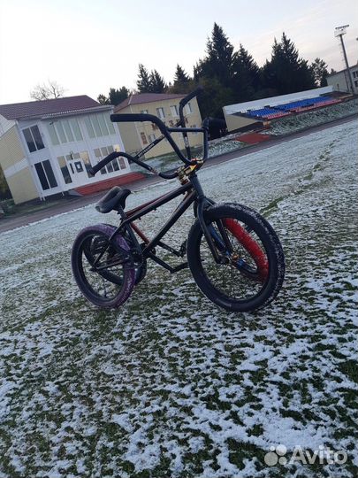 BMX wtp
