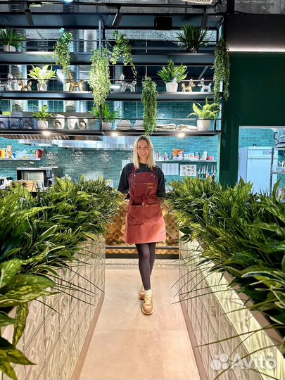 Фитодизайн и озеленение кафе, ресторанов, офисов