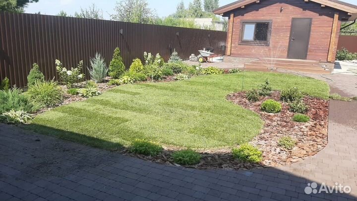 Рулонный газон Элитный