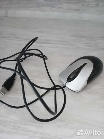 Компьютерная мышь