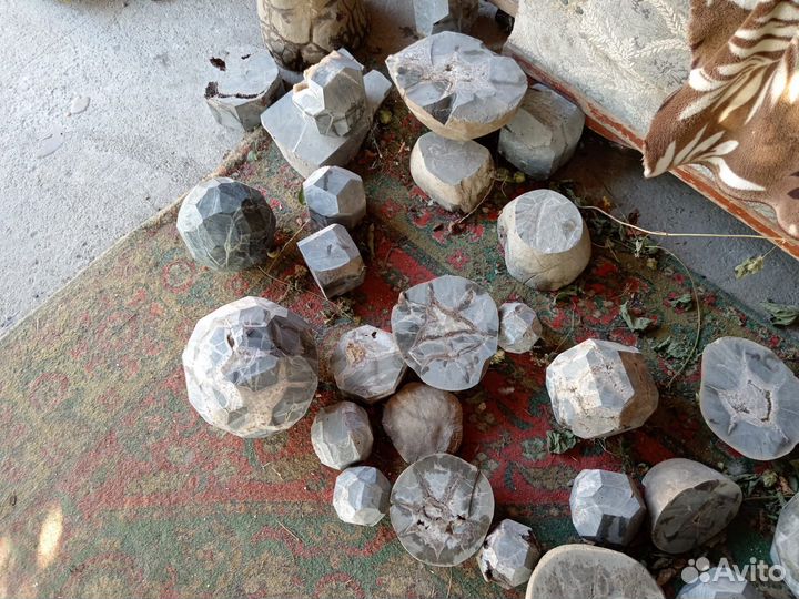 Минералы. Окаменелости. Септарии. Жеоды. Пирит