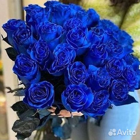 Синие розы. Букеты Цветы доставка