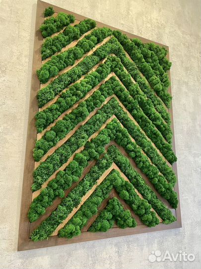 Мох стабилизированный фитостена фитокартина панно