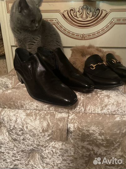 Мужские Ernesto Dolani и Женские Gucci