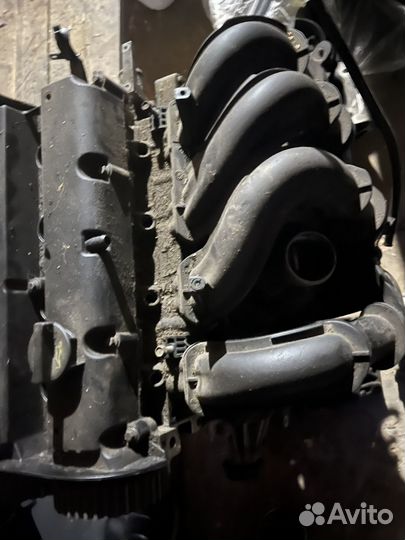 Двигатель 1.6 на ford focus