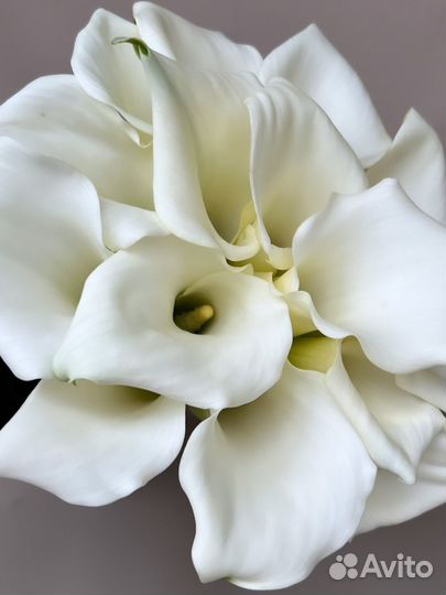 Каллы свадебный букет