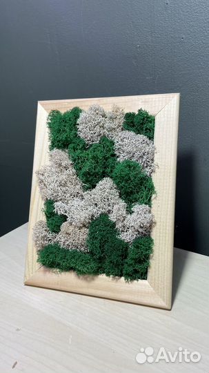 Картины со стабилизированным мхом