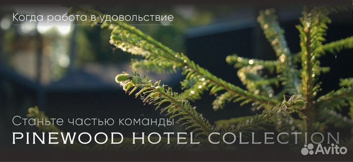 Повар г/ц, х/ц (вахта Алтай)