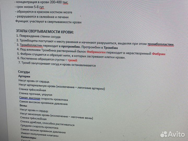 Шпаргалки егэ биолгия