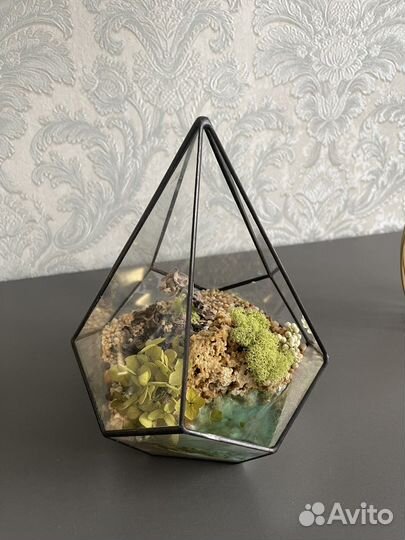 Флорариум ваза