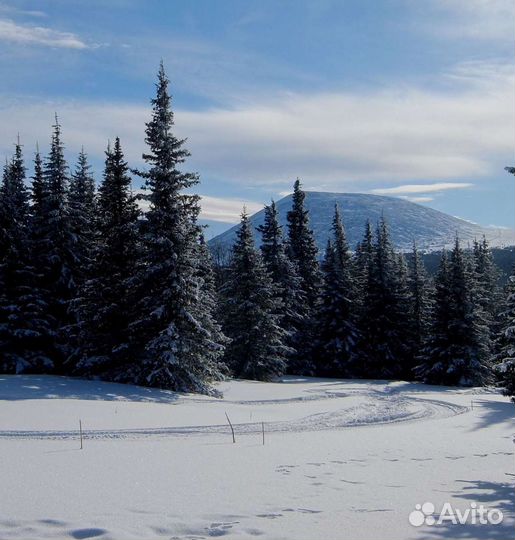 Туры на Большой Иремель и Инзерские Зубчатки