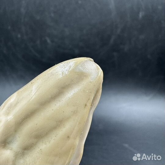 Карандашница Фарфоровая курица СССР советский