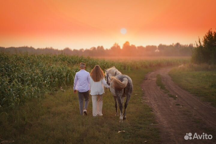 Обучение верховой езде, катание на лошадях