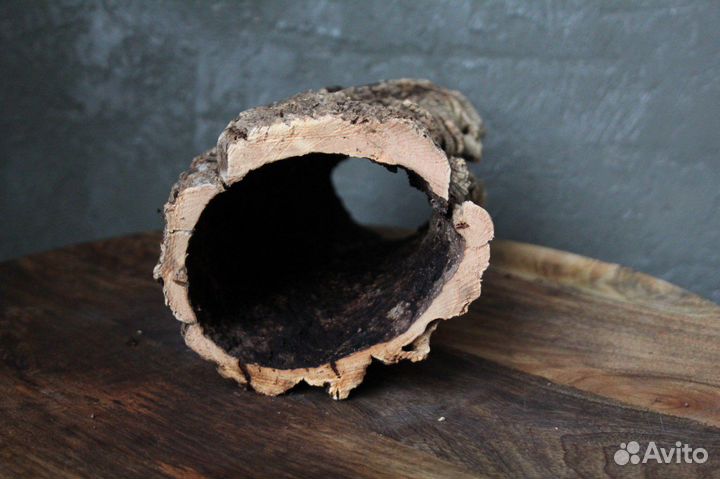 Готовый набор для эублефара