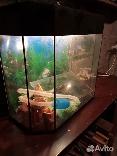 Аквариум