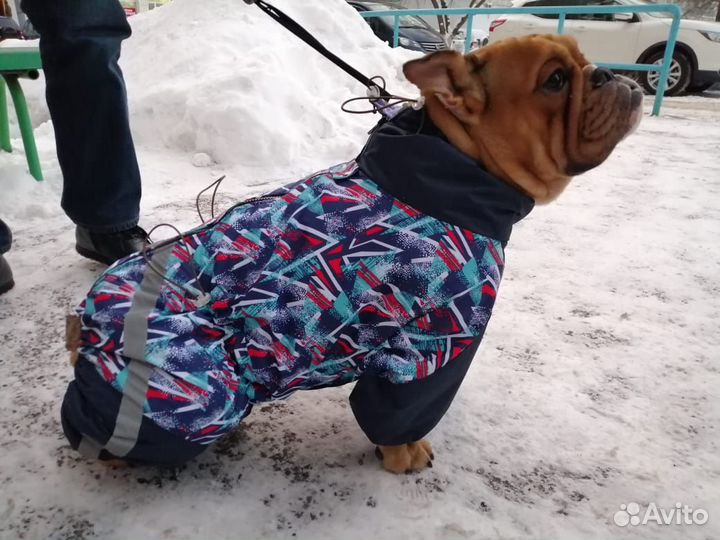 Комбинезон для собаки