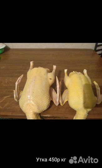 Индаутки (селезни)