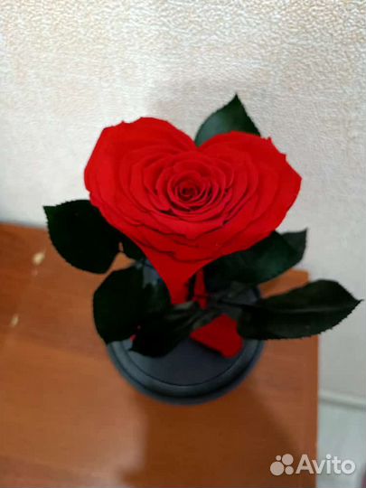 Роза в колбе