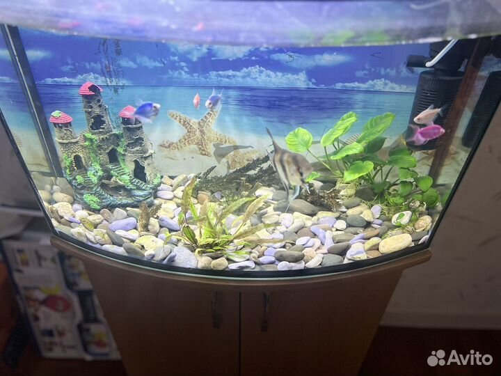 Аквариум