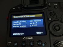 Canon EOS-1D X Body (43 000 кадров)