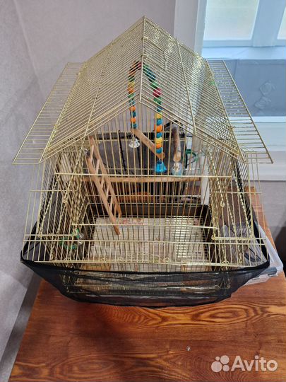 Волнистый попугай с клеткой