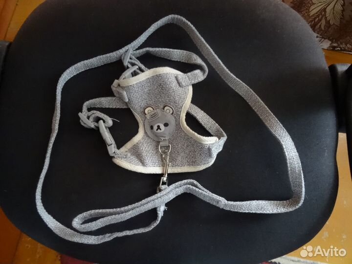 Шлейка для кота