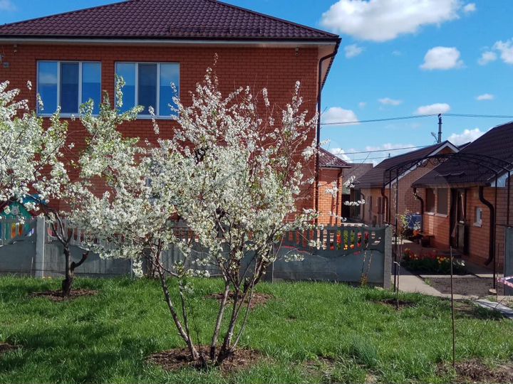 Коттедж 230 м² на участке 19 сот.