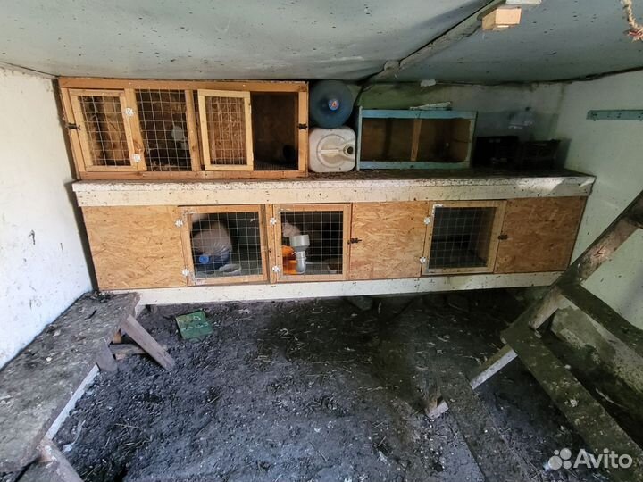 Клетка для кроликов с маточником
