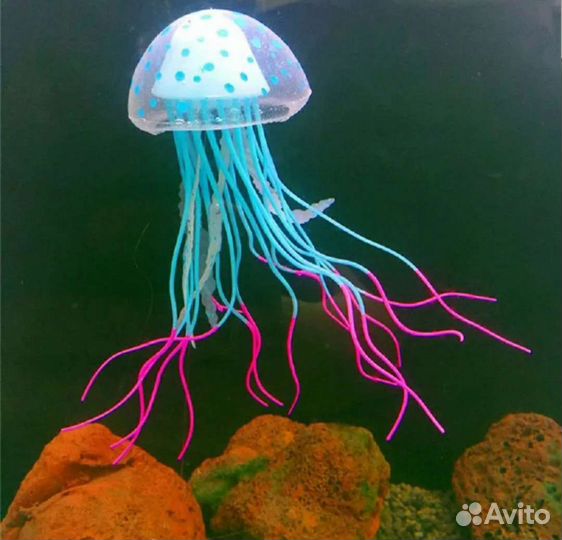 Все для аквариума