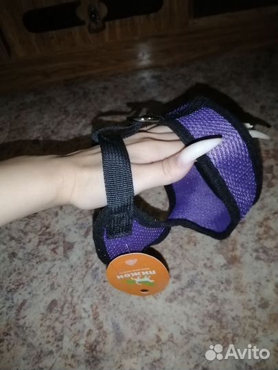 Товары для животных