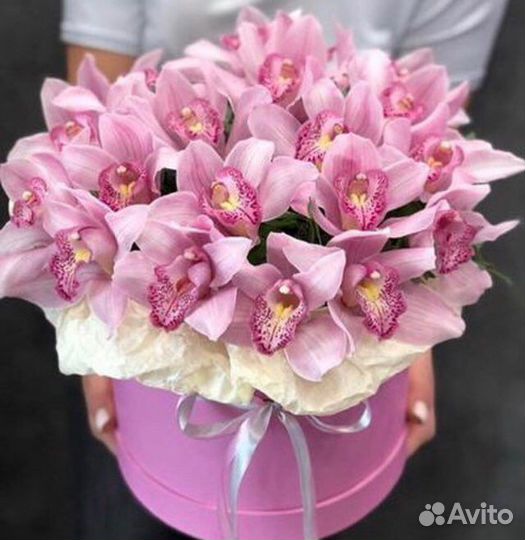 Фито картины