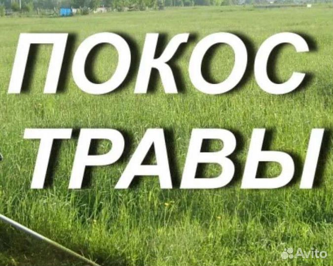 Покос травы