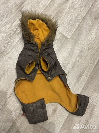 Одежда для маленьких собак