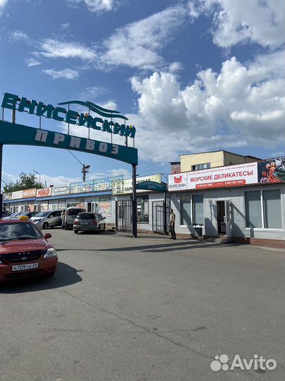 Миди в створке Чили