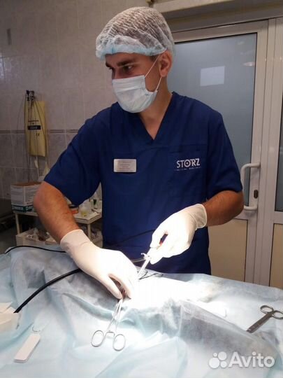 Эндоскопическая стерилизация животных