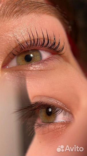 Брови/Ресницы/Ламинирование/Окрашивание/Коррекция