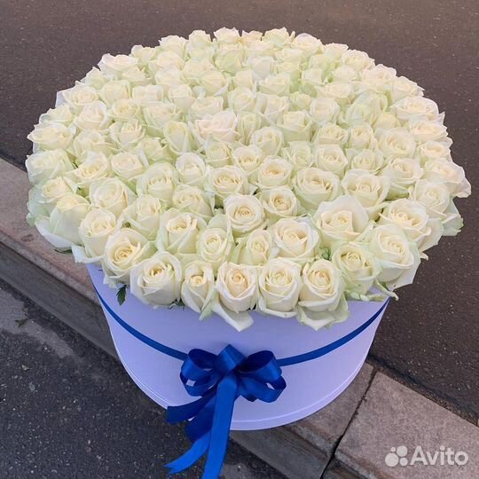 101роза/белые розы/белый роза