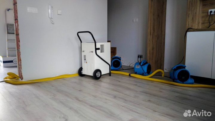 Просушка помещений, сушка дома, потоп, осушитель