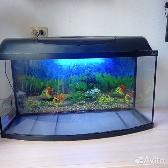 Аквариум