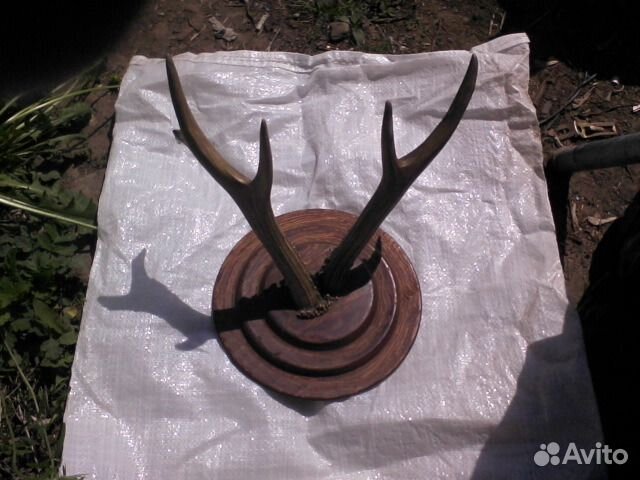 Рога и другие предметы